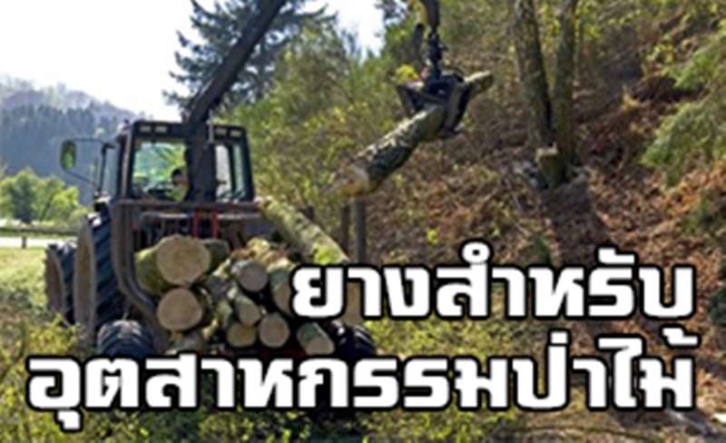 ยางที่ใช้ในอุตสาหกรรมป่าไม้ (Forestry Tire) ยางรถเก็บเกี่ยว (Harvester Tire)