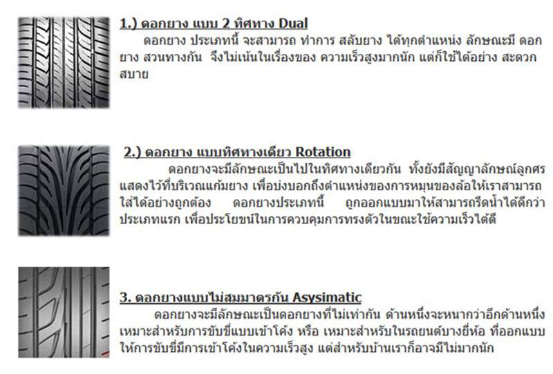 ลักษณะของดอกยาง